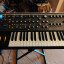 Moog subsequent 37