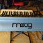 Moog subsequent 37