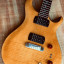 PRS - se Paul's Guitar