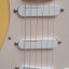 Fender Stratocaster USA + Lace Sensor pickups