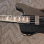 Bajo LTD Phoenix 1004