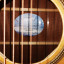 Guitarra Seagull Maritime CW GT Q II