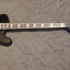 Bajo LTD Phoenix 1004