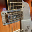 Gretsch Country Gentleman 12-String (Original de 1963)