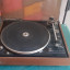 Plato giradiscos Bettor Dual 510 belt drive turntable