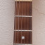 2021 Van Zandt STV-70R Stratocaster Japan Matched Head