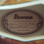 Ibanez AS 153 AYS