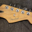 Fender Stratocaster Player Edición limitada