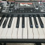 Roland V-STAGE 76 con funda NUEVO