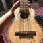 Charango argentino con gran sonido