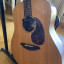 Breedlove Atlas AD/200 SM con. Fishman Blend (pastilla + micro)