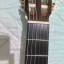 Guitarra Alhambra 5P CW