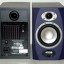Monitores campo cercano TANNOY Reveal 5A