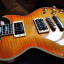 Washburn IDOL WI-66 PROF