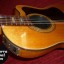 Gibson Chet Atkins CE (Nylon strings) del año 1982