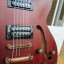 Washburn HB32DM Guitarra Hollow Body, Distressed Matte