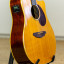 Acustica BREEDLOVE Passport D250/SBe