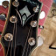 Washburn IDOL WI-66 PROF