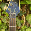Bajo Epiphone