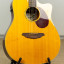 Acustica BREEDLOVE Passport D250/SBe