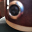 Washburn IDOL WI-66 PROF
