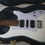 Vigier Excalibur SUPRA