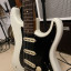 Fender Stratocaster Custom Shop  Ancho Poblano