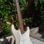 Fender American Standard Stratocaster 2012