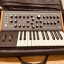 Moog Subsequent 25 Analog Synth
