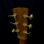Guitarra Acústica Luthier tipo Martin 00