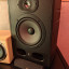 Focal Alpha 65