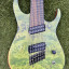 Skervesen Raptor 8 FF Custom