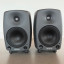 Genelec 8030A