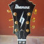 Ibanez PM 200