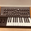 Moog Subsequent 25 Analog Synth