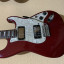 Fender Stratocaster Highway One USA (Customizada)