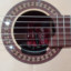 Previo guitarra clasica o flamenca Shadow SH-EC22