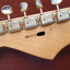 CAMBIO Fender Stratocaster SRV