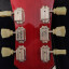 Epiphone Dot Cherry Indonesia 2012 tipo 335 (estuche incluido)