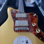 Waterslide guitars “Aged Aztec Gold”