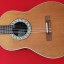 Ovation Model 1613