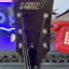 Gretsch Chet Atkins Tennessean de 1964 (VIDEOS)