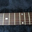 Guitarra ernie ball john petrucci jp6 2001 sin piezo portes incluidos