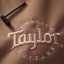 Guitarra Taylor Academy 10