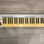 Teclado M-Audio Keyrig 49