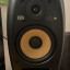 Monitores KRK VXT 8