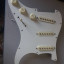 Golpeador completo para Stratocaster