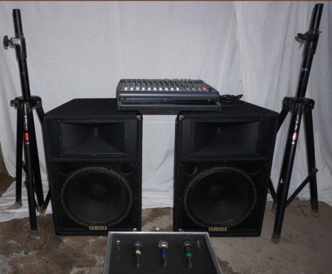 Equipo de sonido Yamaha EMX 2000