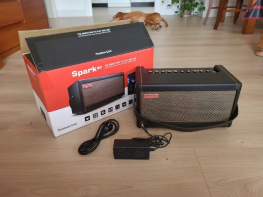 Amplificador Spark I 40W de Positive Grid