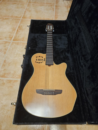 Godin Nylon